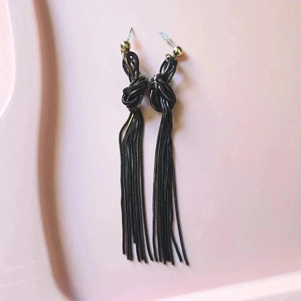 Metal Tassel Long Earrings